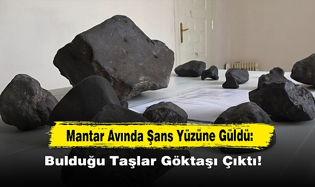 Mantar Avında Şans Yüzüne Güldü: Bulduğu Taşlar Göktaşı Çıktı!