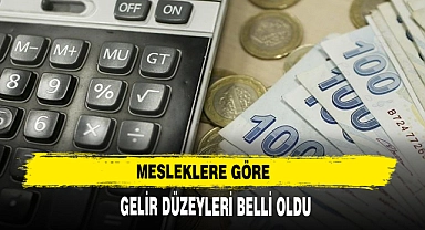 MESLEKLERE GÖRE GELİR DÜZEYLERİ BELLİ OLDU