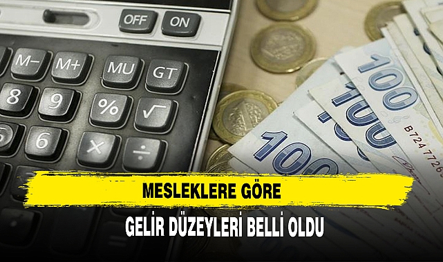 MESLEKLERE GÖRE GELİR DÜZEYLERİ BELLİ OLDU