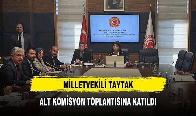 MİLLETVEKİLİ TAYTAK, ALT KOMİSYON TOPLANTISINA KATILDI
