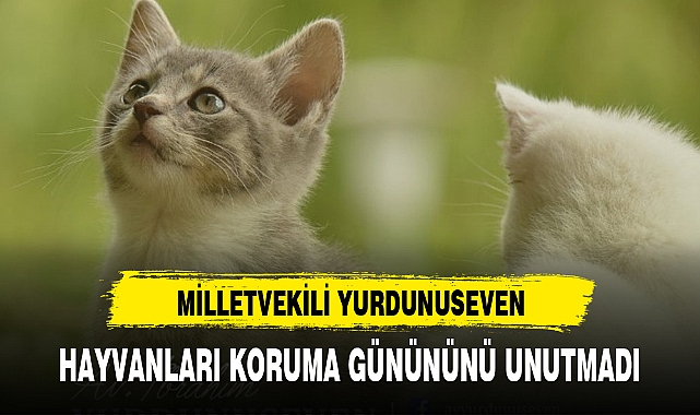 MİLLETVEKİLİ YURDUNUSEVEN HAYVANLARI KORUMA GÜNÜNÜNÜ UNUTMADI