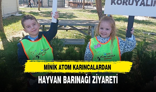 MİNİK ATOM KARINCALARDAN HAYVAN BARINAĞI ZİYARETİ