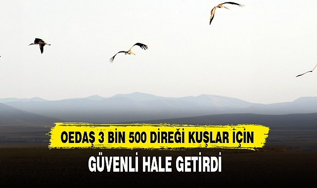 OEDAŞ 3 BİN 500 DİREĞİ KUŞLAR İÇİN GÜVENLİ HALE GETİRDİ  