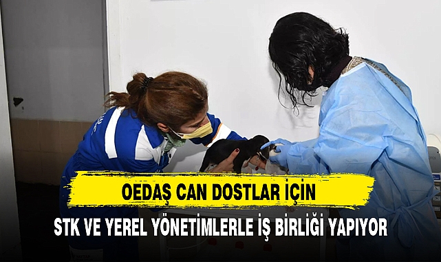 OEDAŞ CAN DOSTLAR İÇİN STK VE YEREL YÖNETİMLERLE İŞ BİRLİĞİ YAPIYOR