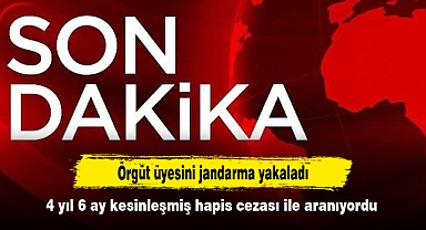 Örgüt üyesini jandarma yakaladı