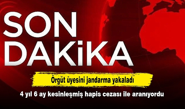 Örgüt üyesini jandarma yakaladı