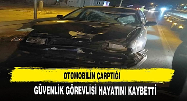 OTOMOBİLİN ÇARPTIĞI GÜVENLİK GÖREVLİSİ HAYATINI KAYBETTİ