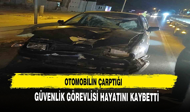 OTOMOBİLİN ÇARPTIĞI GÜVENLİK GÖREVLİSİ HAYATINI KAYBETTİ