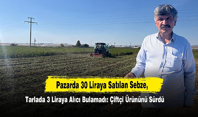 Pazarda 30 Liraya Satılan Sebze, Tarlada 3 Liraya Alıcı Bulamadı: Çiftçi Ürününü Sürdü