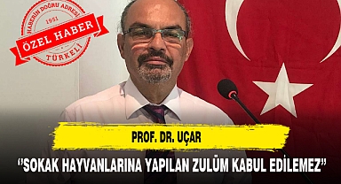 PROF. DR. UÇAR ‘’SOKAK HAYVANLARINA YAPILAN ZULÜM KABUL EDİLEMEZ’’