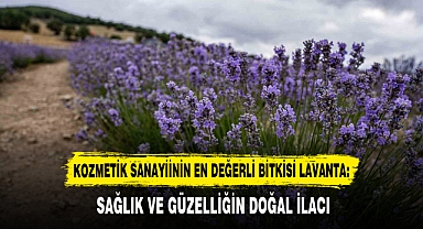 SAĞLIK VE GÜZELLİĞİN DOĞAL İLACI