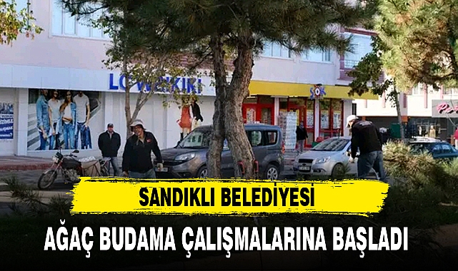 SANDIKLI BELEDİYESİ AĞAÇ BUDAMA ÇALIŞMALARINA BAŞLADI