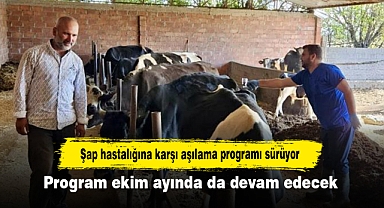 Şap hastalığına karşı aşılama programı sürüyor: Program ekim ayında da devam edecek