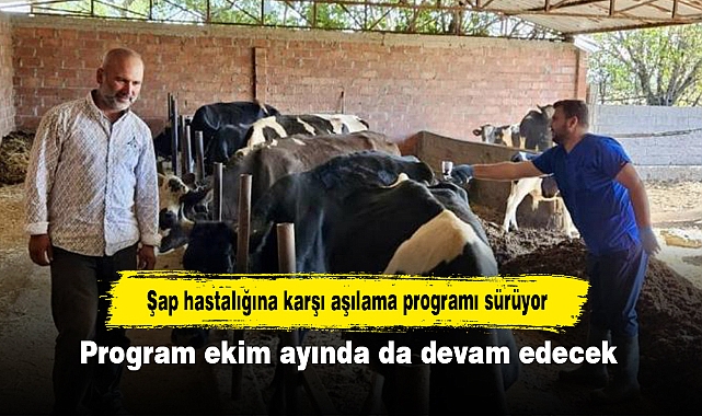 Şap hastalığına karşı aşılama programı sürüyor: Program ekim ayında da devam edecek
