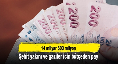 Şehit yakını ve gaziler için bütçeden pay: 14 milyar 500 milyon
