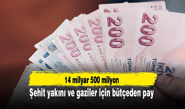 Şehit yakını ve gaziler için bütçeden pay: 14 milyar 500 milyon