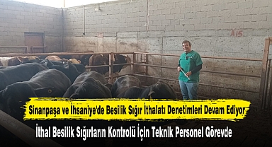 Sinanpaşa ve İhsaniye'de Besilik Sığır İthalatı Denetimleri Devam Ediyor
