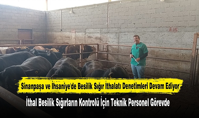 Sinanpaşa ve İhsaniye'de Besilik Sığır İthalatı Denetimleri Devam Ediyor