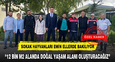 SOKAK HAYVANLARI EMİN ELLERDE BAKILIYOR