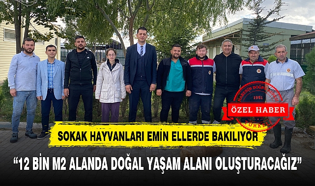 SOKAK HAYVANLARI EMİN ELLERDE BAKILIYOR