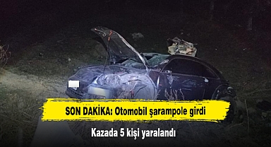 SON DAKİKA: Otomobil şarampole girdi! Kazada 5 kişi yaralandı