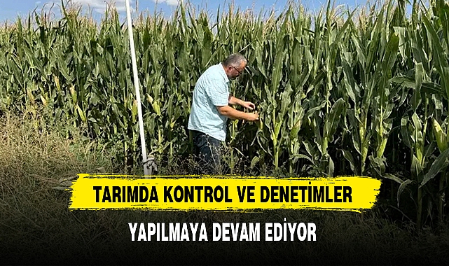 TARIMDA KONTROL VE DENETİMLER YAPILMAYA DEVAM EDİYOR