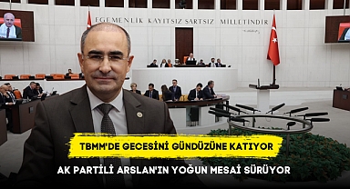 TBMM'DE GECESİNİ GÜNDÜZÜNE KATIYOR AK PARTİLİ ARSLAN'IN YOĞUN MESAİ SÜRÜYOR