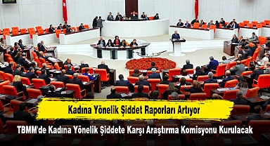 TBMM'de Kadına Yönelik Şiddete Karşı Araştırma Komisyonu Kurulacak