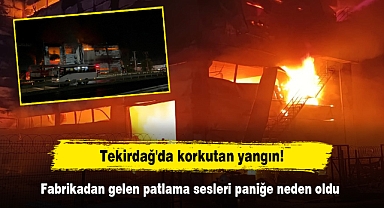 Tekirdağ'da korkutan yangın! Fabrikadan gelen patlama sesleri paniğe neden oldu