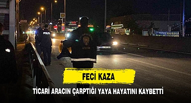 Ticari Aracın Çarptığı Yaya Hayatını Kaybetti