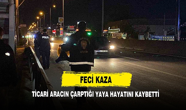 Ticari Aracın Çarptığı Yaya Hayatını Kaybetti