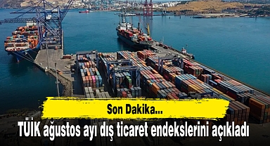 TÜİK ağustos ayı dış ticaret endekslerini açıkladı