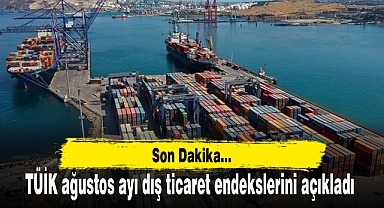 TÜİK ağustos ayı dış ticaret endekslerini açıkladı