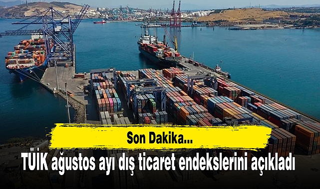 TÜİK ağustos ayı dış ticaret endekslerini açıkladı