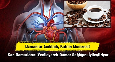 Uzmanlar Açıkladı, Kafein Mucizesi!  Kan Damarlarını Yenileyerek Damar Sağlığını İyileştiriyor