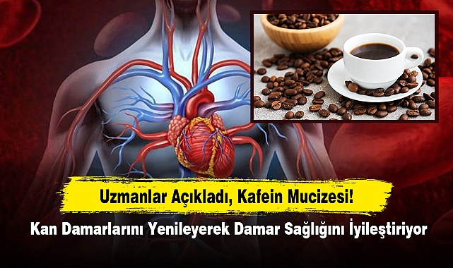Uzmanlar Açıkladı, Kafein Mucizesi!  Kan Damarlarını Yenileyerek Damar Sağlığını İyileştiriyor