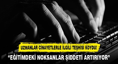 UZMANLAR CİNAYETLERLE İLGİLİ TEŞHİSİ KOYDU!