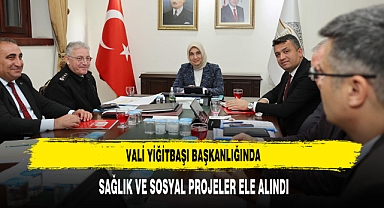 Vali Yiğitbaşı Başkanlığında Sağlık ve Sosyal Projeler Ele Alındı