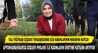 Vali Yiğitbaşı Süs Kabaklarının Hasadına Katıldı