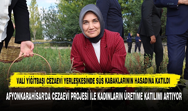 Vali Yiğitbaşı Süs Kabaklarının Hasadına Katıldı