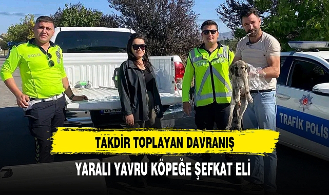 YARALI YAVRU KÖPEĞE ŞEFKAT ELİ