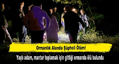 Yaşlı Adam, Mantar Toplamak İçin Gittiği Ormanda Ölü Bulundu