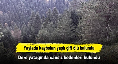 Yaylada kaybolan yaşlı çift ölü bulundu: Dere yatağında cansız bedenleri bulundu