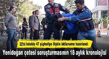 Yenidoğan çetesi soruşturmasının 18 aylık kronolojisi