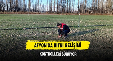 Afyon’da Bitki Gelişimi Kontrolleri Sürüyor