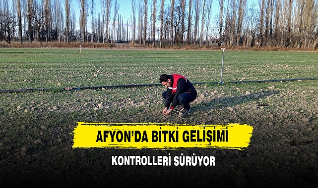 Afyon’da Bitki Gelişimi Kontrolleri Sürüyor