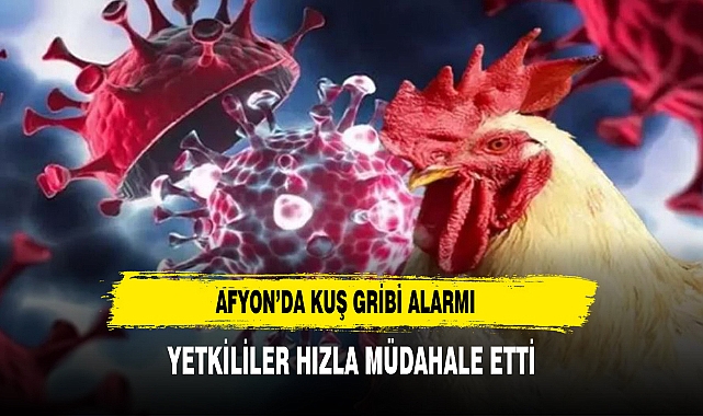 Afyon’da Kuş Gribi Alarmı Yetkililer Hızla Müdahale Etti