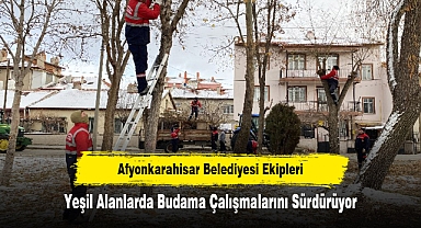 Afyonkarahisar Belediyesi Ekipleri, Yeşil Alanlarda Budama Çalışmalarını Sürdürüyor