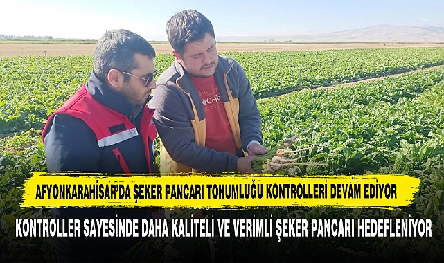 Afyonkarahisar’da Şeker Pancarı Tohumluğu Kontrolleri Devam Ediyor