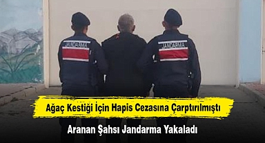 Ağaç Kestiği İçin Hapis Cezasına Çarptırılmıştı: Aranan Şahsı Jandarma Yakaladı